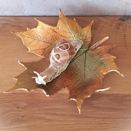 Schnecke mit Schneckenhäuschen Dekoration Unikat Weinbergschnecke