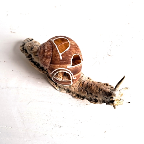 Schnecke mit Schneckenhäuschen Dekoration Unikat Weinbergschnecke
