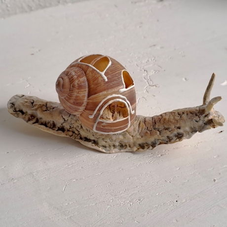 Schnecke mit Schneckenhäuschen Dekoration Unikat Weinbergschnecke