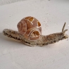 Schnecke mit Schneckenhäuschen Dekoration Unikat Weinbergschnecke