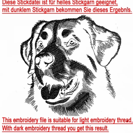 Stickdatei Appenzeller Sennenhund Leroy Hund 