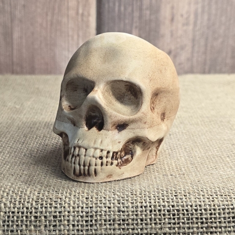 Totenkopf - Skull - Skull & Bones - Totenschädel-Fantasy-Gothic