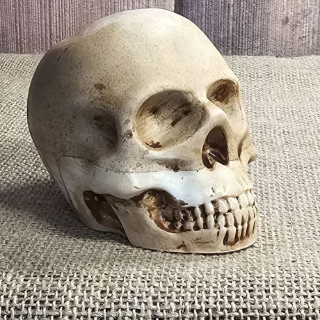 Totenkopf - Skull - Skull & Bones - Totenschädel-Fantasy-Gothic