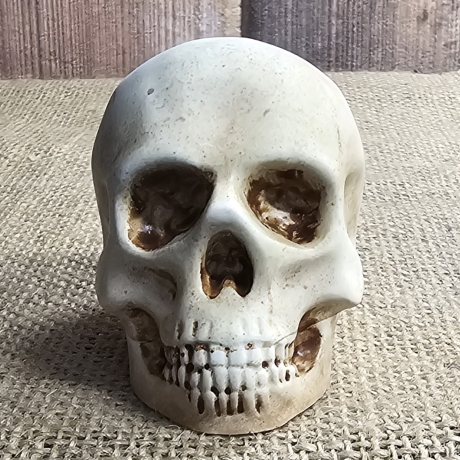 Deko Figur -Totenkopf-Skull & Bones-Totenschädel-Fantasy-Gothic