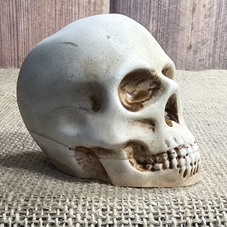 Deko Figur -Totenkopf-Skull & Bones-Totenschädel-Fantasy-Gothic