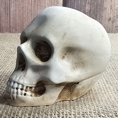 Deko Figur -Totenkopf-Skull & Bones-Totenschädel-Fantasy-Gothic