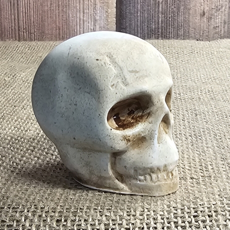 Deko Figur -Totenkopf-Skull & Bones-Totenschädel-Fantasy-Gothic