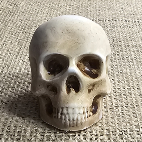 Deko Figur -Totenkopf-Skull & Bones-Totenschädel-Fantasy-Gothic