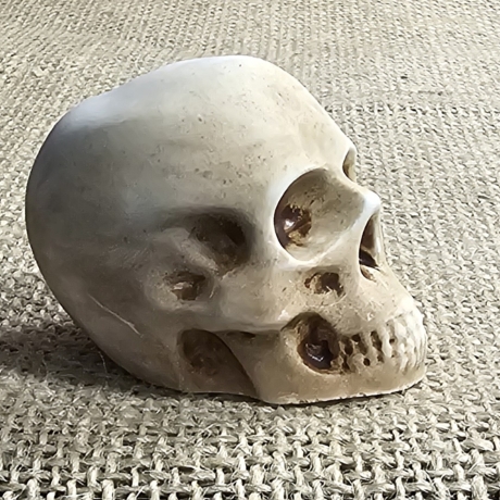 Deko Figur -Totenkopf-Skull & Bones-Totenschädel-Fantasy-Gothic