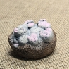 Deko Figur - Igel - Keramik - Handarbeit