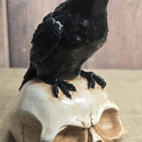 Rabe auf Totenkopf - Krähe - Odin - Vogel