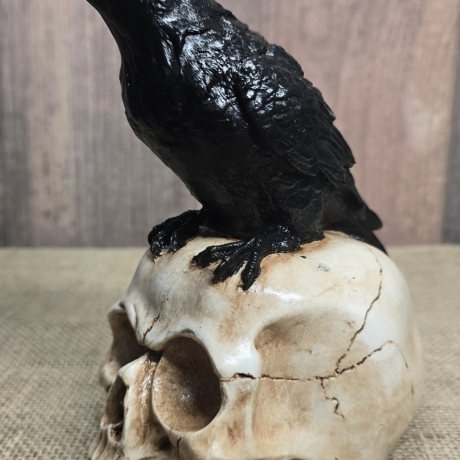 Rabe auf Totenkopf - Krähe - Odin - Vogel