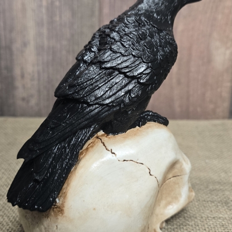 Rabe auf Totenkopf - Krähe - Odin - Vogel