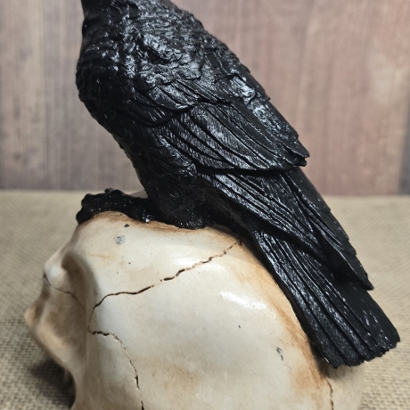 Rabe auf Totenkopf - Krähe - Odin - Vogel