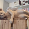 Schutzengel aus Keramik - schlafend - Figur - Kantenhocker