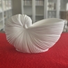 Deko Schale - Muschel - Maritim - 
