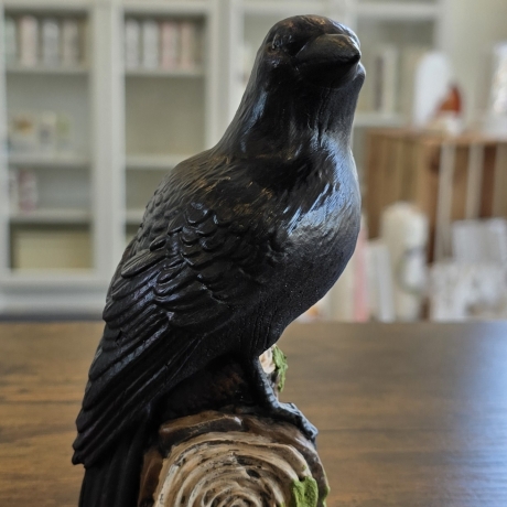 Rabe auf Baumstamm - Schwarzer Rabe - Krähe - Vogel