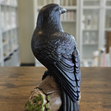 Rabe auf Baumstamm - Schwarzer Rabe - Krähe - Vogel