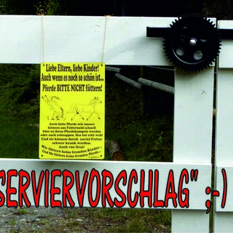 Pferdeschild füttern verboten 5b, Gravurschild 15x20 cm