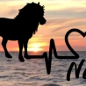 Aufkleber Herzlinie Heartbeat Pferd Shetlandpony