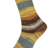 PRO LANA Socks Ball, 4-fädige Sockenwolle, Farbe 11