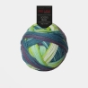 PRO LANA Socks Ball, 4-fädige Sockenwolle, Farbe 6
