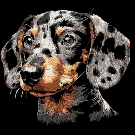 NEU Stickdatei Dackel Three Colors Gardy  Hund