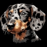 NEU Stickdatei Dackel Three Colors Gardy  Hund