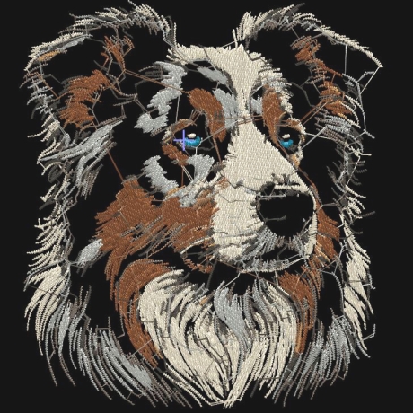 NEU Stickdatei Border Collie Three Colors Oreo 