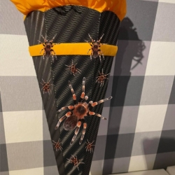 Dekoelemente für Schultüte Spinne
