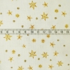 Digitalstoff Sterne beige/gold