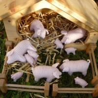 Waldorf-Stricktiere: Schwein