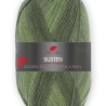 PRO LANA Stretch Susten, 4-fädige Sockenwolle, Fb. 419.09