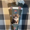 Dekoelemente für Schultüte Katze Tabby verschiedene Farben