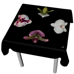 Edle Designer-Tischdecke mit Orchideen (ca. 120 cm x 120 cm)