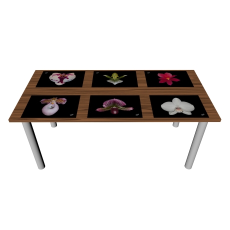 Edle Designer-Platzdeckchen mit Orchideen (ca. 50 cm x 35 cm)