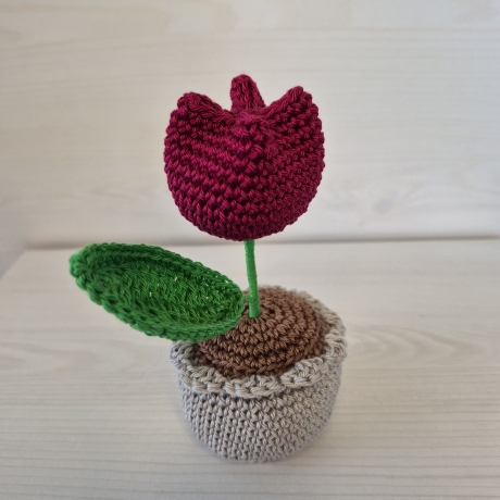 Tulpe im Topf - rot (Häkelblume)