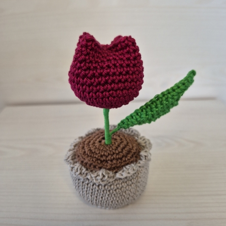 Tulpe im Topf - rot (Häkelblume)