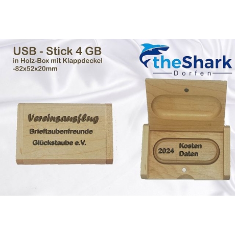 USB Stick 4GB aus Holz incl. Holzschatulle 