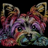 Neu Stickdatei Yorkshire Terrier Bubbles realistisch