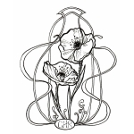 CoHieRu Artworks - Illustrationen & Besonderes