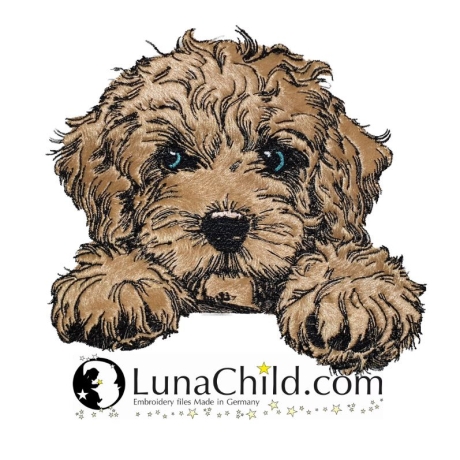 NEU Stickdatei Applikation Cockapoo Funny realistisch