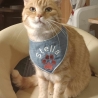 ITH Halstuch für kleine Hunde/ Katzen - 20x20 Rahmen
