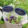 Schiffe Blumenpieker Stabdatei ITH 5 maritime Stickdateien 