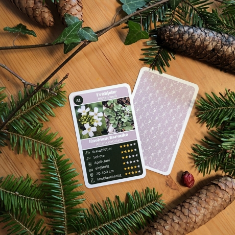 Wildkräuter Quartett – Natur Lernspiel mit heimischen Pflanzen