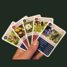 Wildkräuter Quartett – Natur Lernspiel mit heimischen Pflanzen