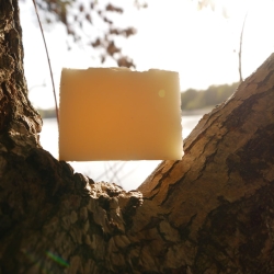 Handgemachte Kakaobutterseife