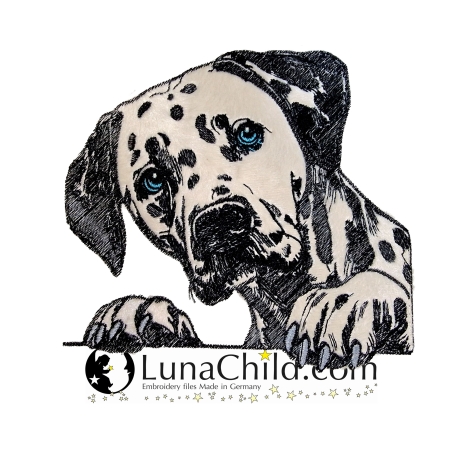 NEU Stickdatei Applikation Dalmatiner Calla Hund