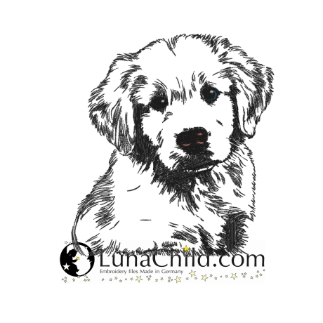 NEU Stickdatei Golden Retriever Welpe Muffin Hund 