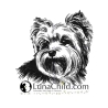 NEU Stickdatei Yorkshire Terrier  Gizmo Yorki Hund